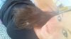 20140610_110551.jpg
