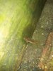 IMG-20140725-WA0001.jpg