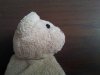 20140804_103454.jpg