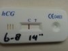 20140806_144819.jpg