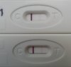 test.jpg