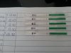 20140810_185444.jpg