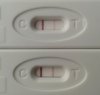 test3.jpg