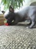 DSC00404.jpg