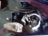 DSC01427.jpg