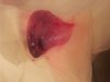 20140712_144432.jpg