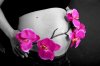 IMG_9231 copy.jpg