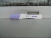 DSCN4743.jpg