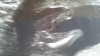 20140824_182416.jpg