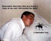 February-23-2012-17-23-48-Selection012.jpg