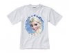 frozen1.jpg