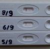 20140908_074400-1.jpg