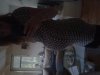 20140927_185618.jpg