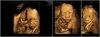 Baby.jpg