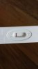 6dpo.jpg