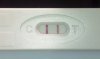 13 dpo 10-10-14.jpg