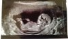 IMG-20141011-WA0000.jpg