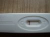 DSC00675.jpg
