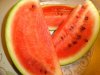 DSC02706.jpg