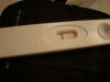DSC00684.jpg