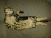 20140921_001707.jpg