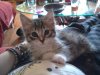 2011-06-15 20.06.34.jpg
