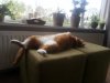20140415_120859.jpg