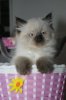 DSC07433.jpg
