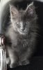 IMG_8671 9 wkn.jpg