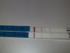 20141024_080252.jpg