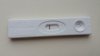 20141029_084032.jpg