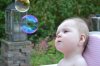 DSC_0312.jpg