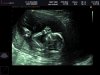 BABY BINDER_0001.jpg