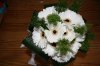IMG_0019.jpg