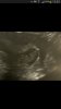 Screenshot_2014-11-13-12-52-02.jpg
