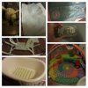 PhotoGrid_1415981114279.jpg