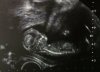 Echo 3_12wk4d - kopie.jpg