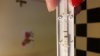 20141118_084549.jpg