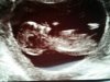 Foto550-PI4QKRQV.jpg