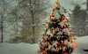 Kerst-hd-achtergrond-met-grote-kerstboom-in-de-sneeuw.jpg