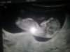 Echo baby 2 bewerkt.jpg