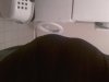 20141123_095153.jpg
