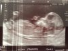 12w4d (1).jpg