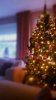 20141206_161835.jpg