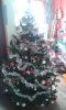 20141209_124804.jpg