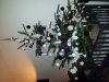 20141214_202415.jpg