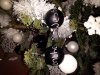 20141214_202337.jpg