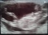 7-10-2013.jpg