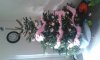 20141216_115323.jpg
