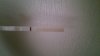 IMAG2661.jpg